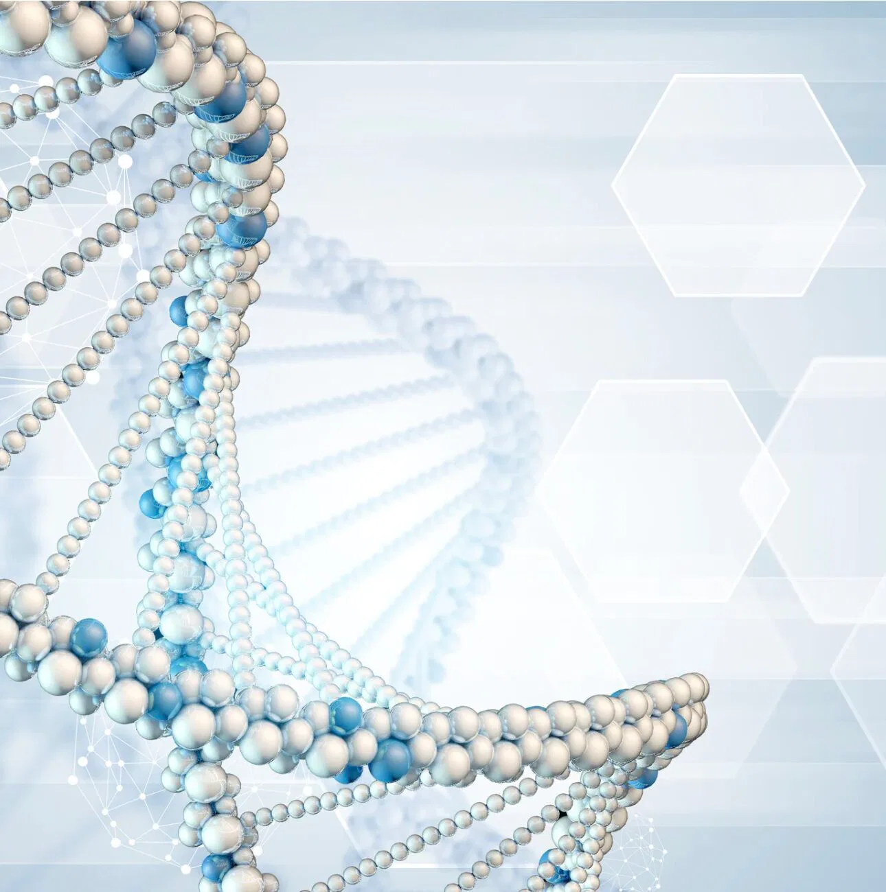 Doppelhelix DNA