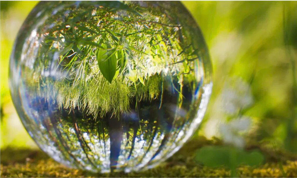 Gesundheit grün Natur