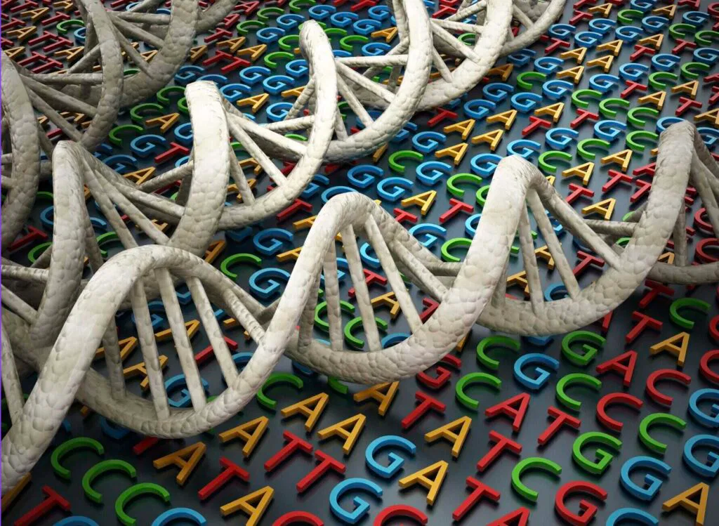 Genetik dna basen